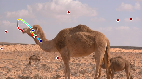 Second camel qualitative sample from Figure H.