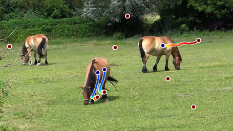 First horse qualitative sample from Figure H.