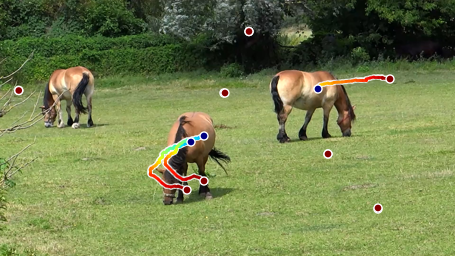 Second horse qualitative sample from Figure H.