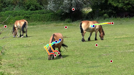 Fourth horse qualitative sample from Figure H.