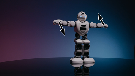 Robot poke prompt from Figure H.