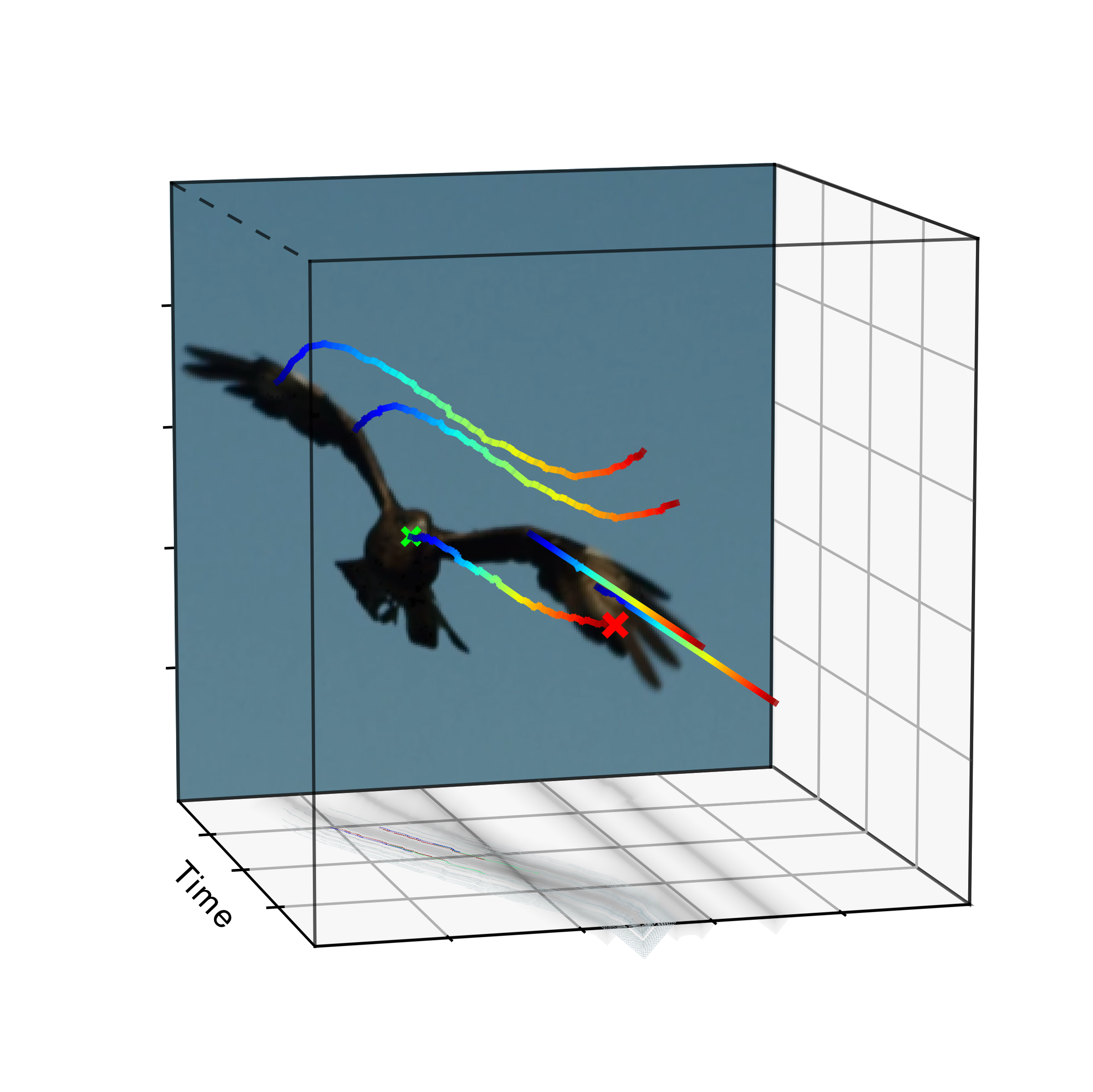 Eagle motion hypothesis turning left.