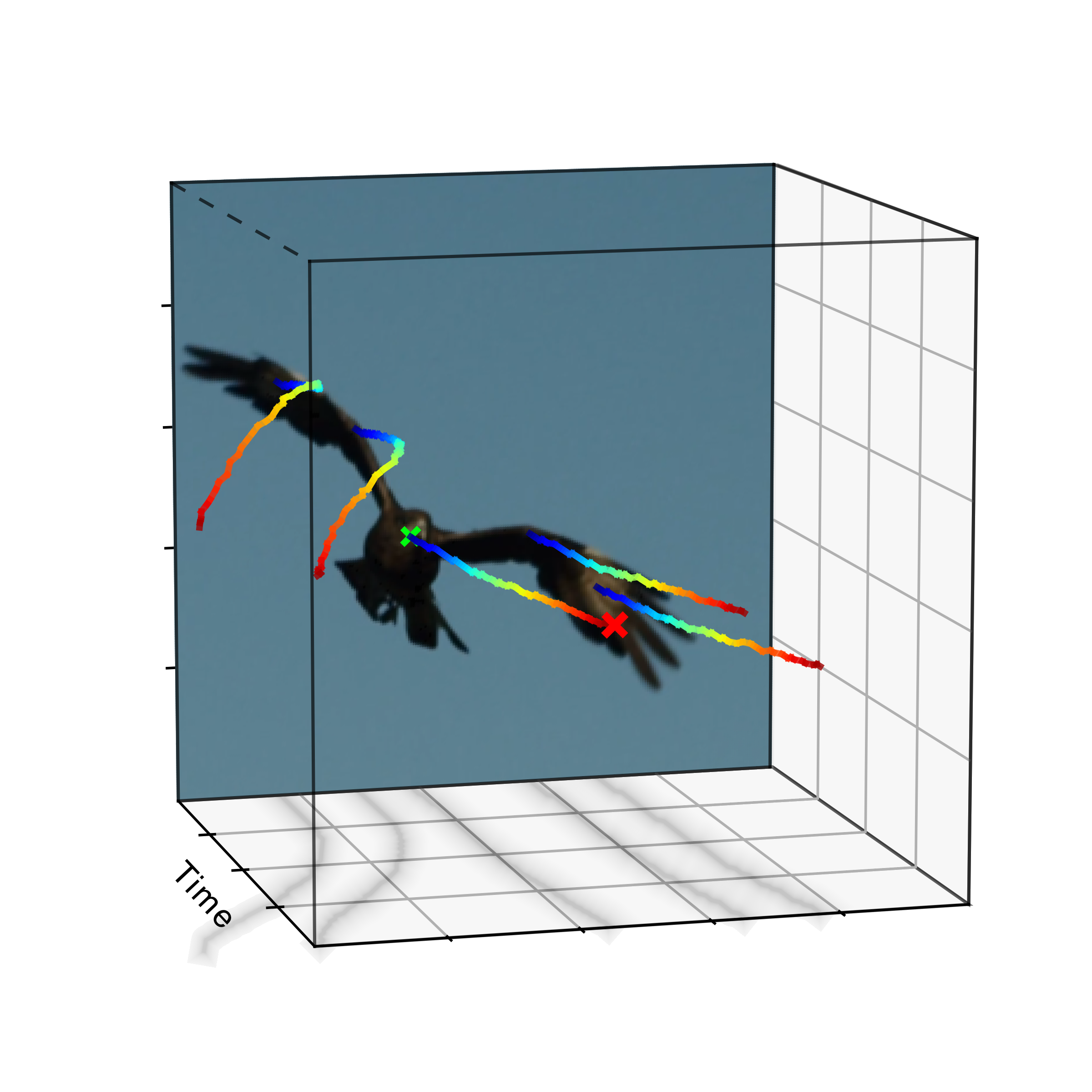 Eagle motion hypothesis with rotation.