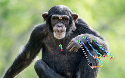 Joint-aware motion reasoning example.